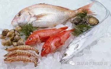 对海鲜过敏症状图片_海鲜过敏漫画_海鲜过敏的症状图片