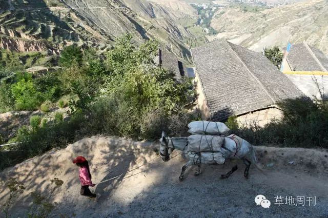 三次人口大迁徙_中国近代史上的三次人口大迁徙(2)