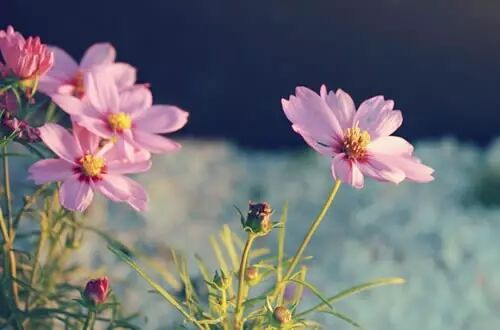 人生打油诗,实在是太精辟了!