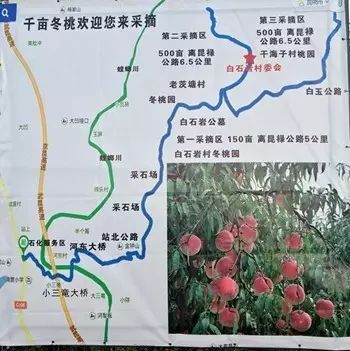 富民县人口_富民县城市总体规划 2008 2020