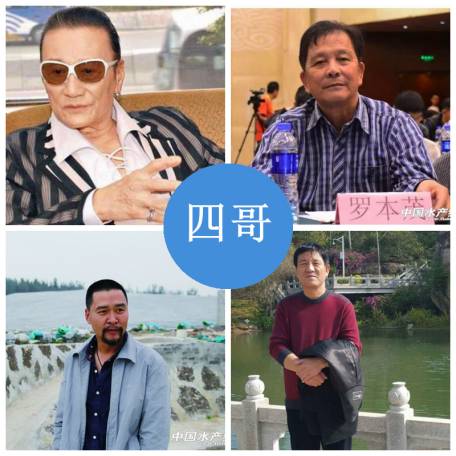 谢贤个人资料_谢贤狄波拉_谢贤收入